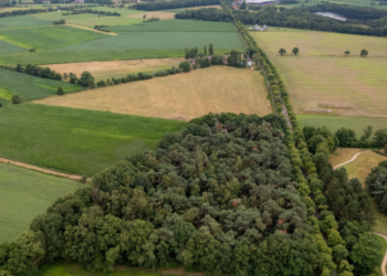 Land And Agricultural Properties Services