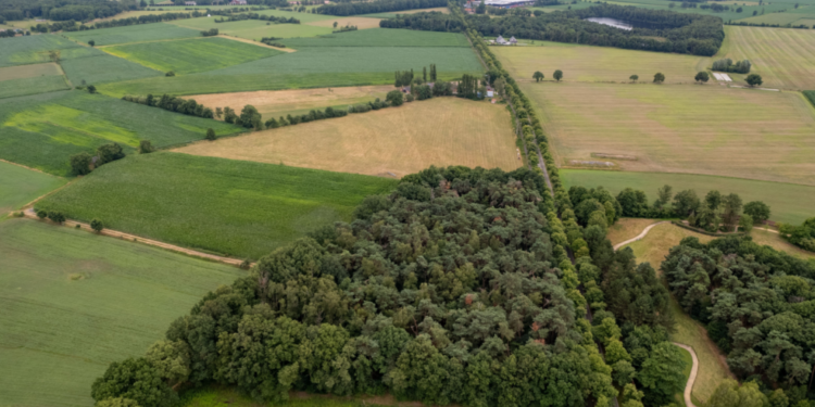 Land And Agricultural Properties Services