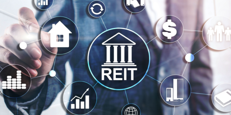 Real Estate Investment Advisory Services